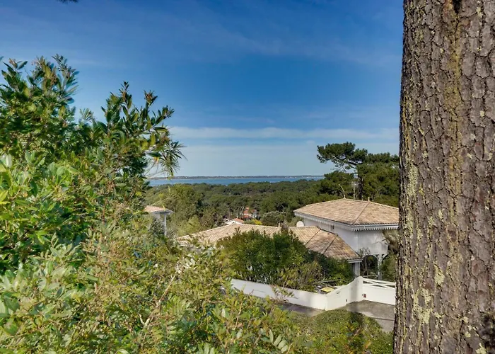 Belvedere-pyla Sur 라테스트드뷔크